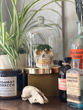 Load image into Gallery viewer, Preserved Moss Skull Ornament