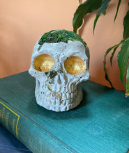 Load image into Gallery viewer, Preserved Moss Skull Ornament