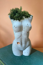 Load image into Gallery viewer, Preserved Moss Goddess Statue