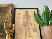 Load image into Gallery viewer, Nervous System Print