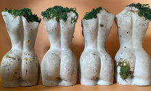 Load image into Gallery viewer, Preserved Moss Goddess Statue