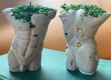 Load image into Gallery viewer, Preserved Moss Adonis Statue