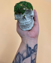 Load image into Gallery viewer, Preserved Moss Skull Ornament