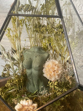 Load image into Gallery viewer, Green Goddess Terrarium