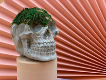 Load image into Gallery viewer, Preserved Moss Skull Ornament