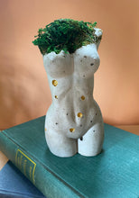 Load image into Gallery viewer, Preserved Moss Goddess Statue
