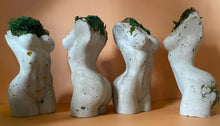 Load image into Gallery viewer, Preserved Moss Goddess Statue
