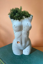 Load image into Gallery viewer, Preserved Moss Goddess Statue
