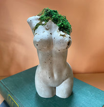 Load image into Gallery viewer, Preserved Moss Goddess Statue
