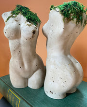 Load image into Gallery viewer, Preserved Moss Goddess Statue
