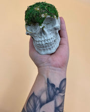 Load image into Gallery viewer, Preserved Moss Skull Ornament
