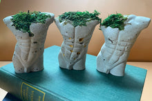 Load image into Gallery viewer, Preserved Moss Adonis Statue
