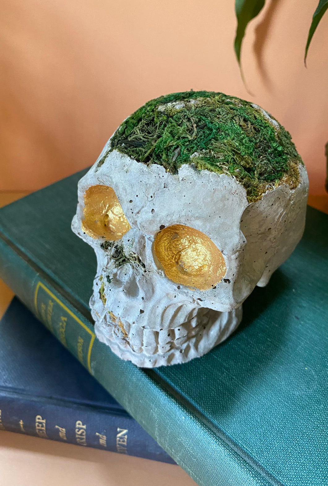 Preserved Moss Skull Ornament