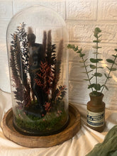 Load image into Gallery viewer, Large Bell Jar Venus Wedding Terrarium
