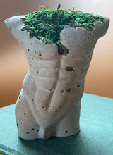 Load image into Gallery viewer, Preserved Moss Adonis Statue

